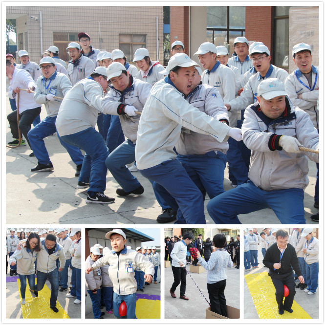 金狮贵宾会·宾至如归尊贵显赫(中国)官方网站